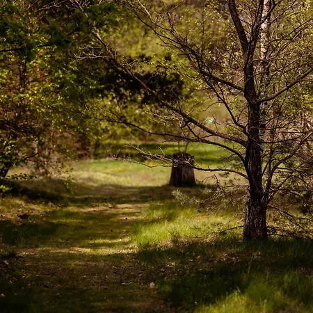 Klodnia 1 Apartmán Rytel