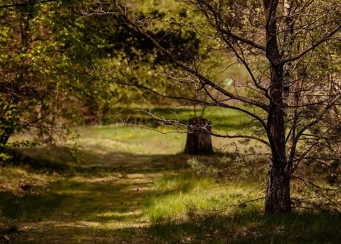 Klodnia 1 Apartamento Rytel