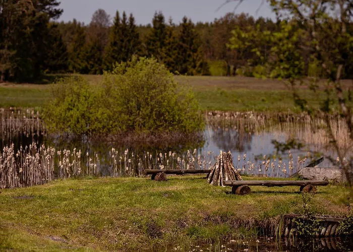 Apartamento Klodnia 1