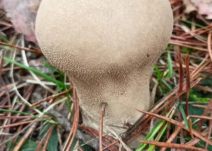 Apartamento Klodnia 1 Rytel