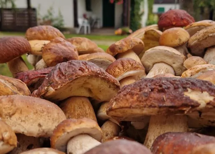 Klodnia 1 Apartamento *