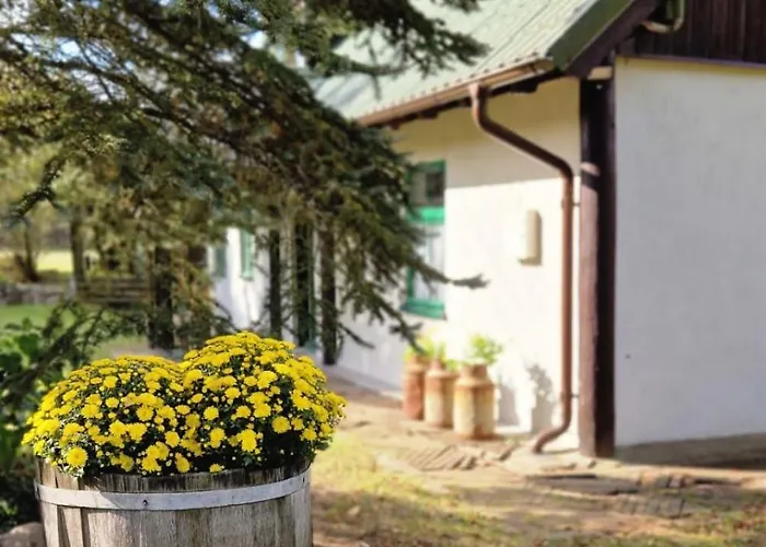 Klodnia 1 Apartamento *